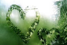 皇家社会后卫伤愈归队，球队赢球表现看涨