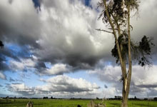 篮球迷热议国内最新赛事，双方势均力敌