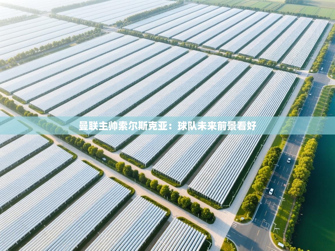 曼联主帅索尔斯克亚：球队未来前景看好  第1张