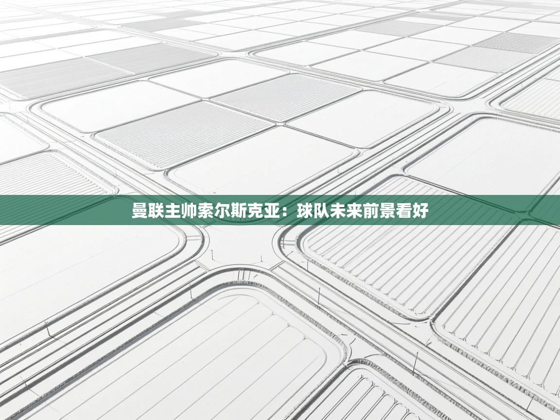 曼联主帅索尔斯克亚：球队未来前景看好  第2张