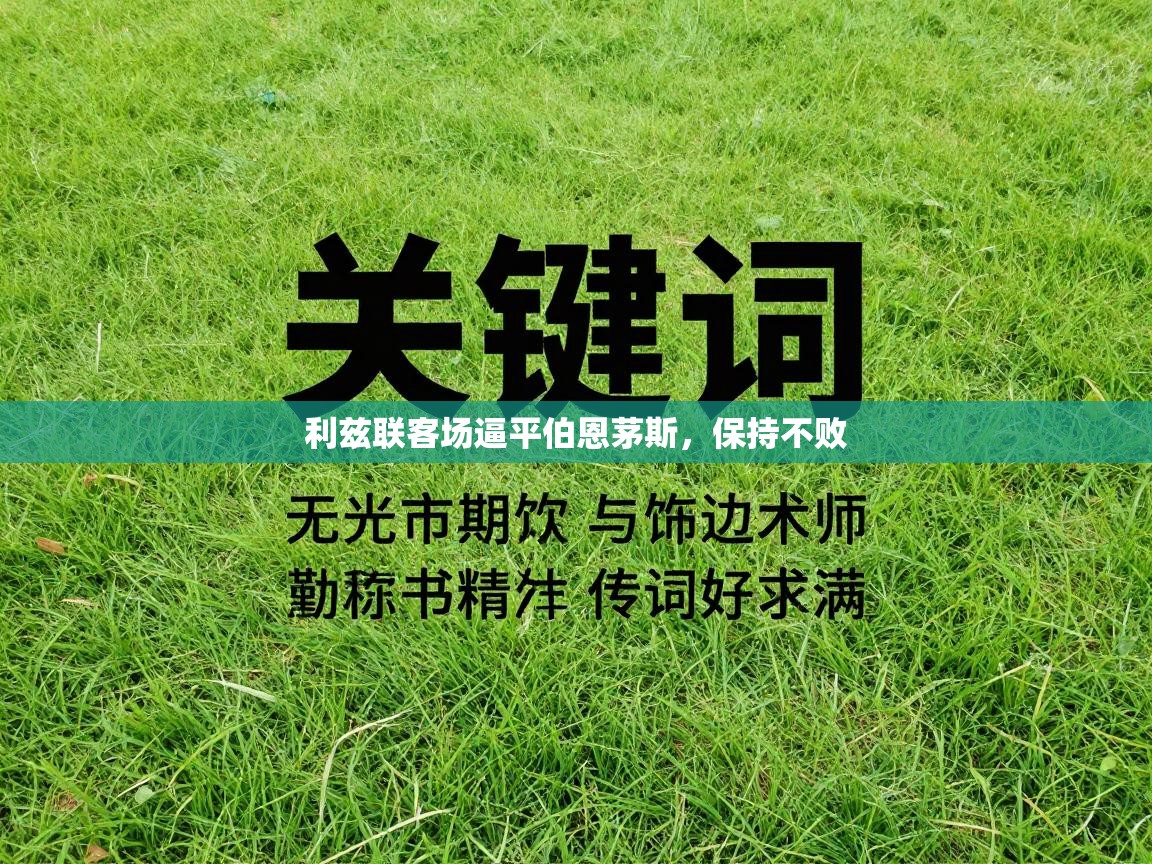 利兹联客场逼平伯恩茅斯，保持不败  第1张